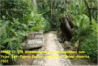 44082 23 058 Wanderung durch den Regenwald zum Yojoa-See, Puerto Cortes, Honduras, Central-Amerika 2022.jpg